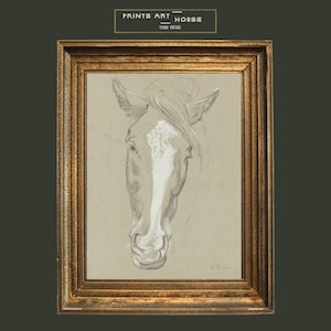 Horse Head Sketch Vintage Digital Art Print Animal Drawing Realistic Charcoal Style Farmhouse Wall Art for Country Home or Gallery Decor