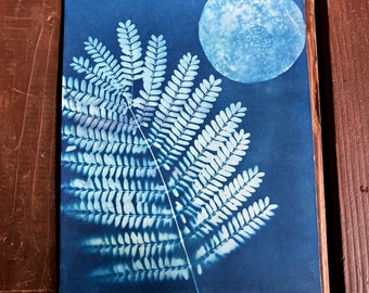 Full moon sunprint