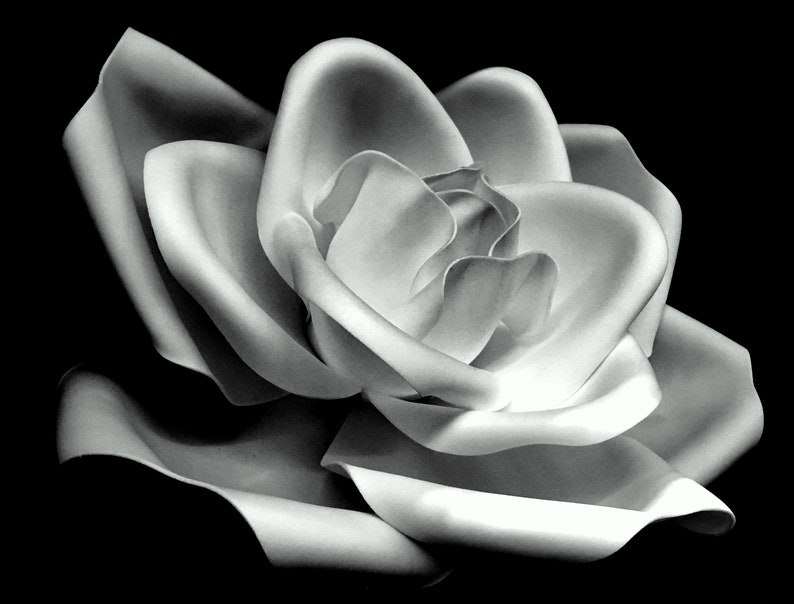 Black and White Rose, Art, Photography, Downloadable Prints, Dark