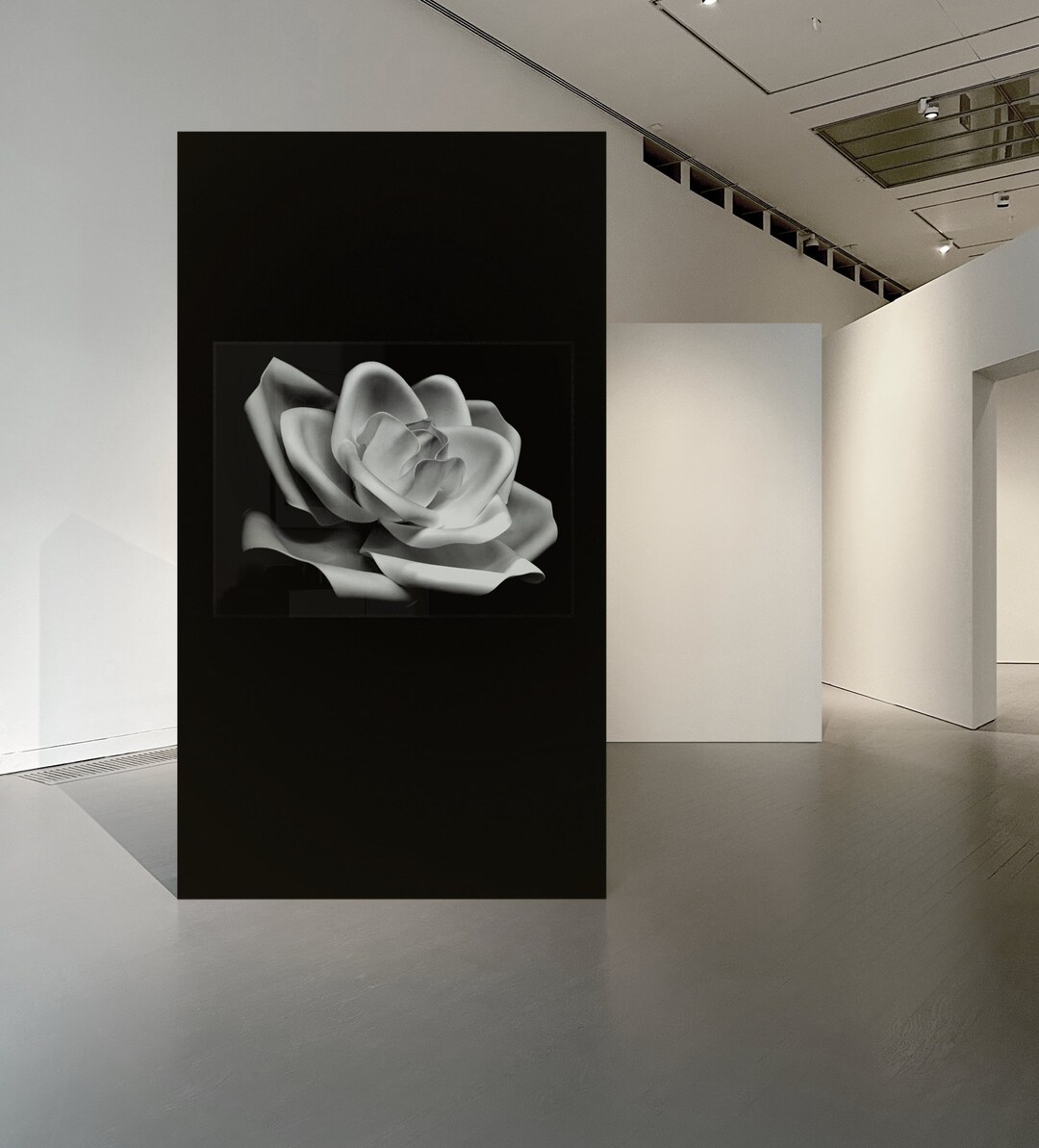 Black and White Rose, Art, Photography, Downloadable Prints, Dark