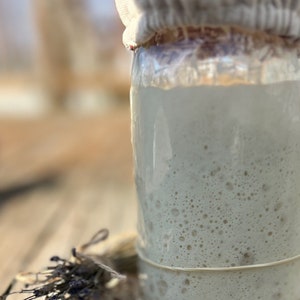 Robust Active Sourdough Starter Fast, ESTHER Sourdough Kit, Bubbly Mature Fast Sourdough for Baker, Homestead Sustainable Supplies