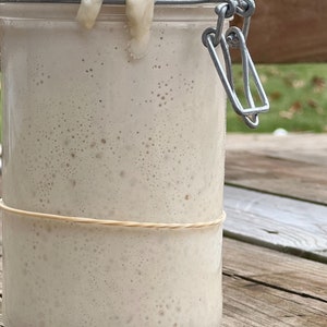 May include: A glass jar with a metal clasp lid filled with a white, bubbly sourdough starter. The starter is rising and has overflowed the top of the jar.
