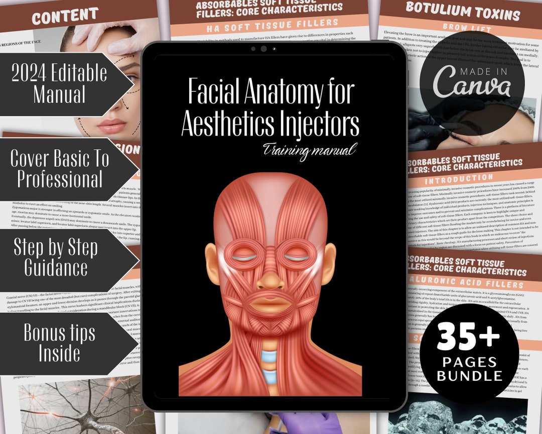 Facial Anatomy for Aesthetics Injectors Training Manual, PDF Ebook