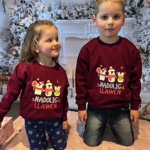 May include: Two matching burgundy crewneck sweatshirts featuring a graphic of three penguins wearing winter accessories and the text "NADOLIG LLAWEN" in red. The sweatshirts have long sleeves and ribbed cuffs, providing a coordinated look for the holidays.