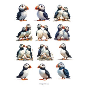 Foglio di adesivi acquerellabili Puffins per bullet journal, scrapbooking, planner, tecniche miste e altri progetti artistici