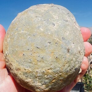 May include: A spherical, weathered stone with a textured, mottled surface in shades of sage green, gray, and tan. The rock features small, dark mineral inclusions and a porous, uneven exterior, showcasing natural geological patterns and earthy tones.
