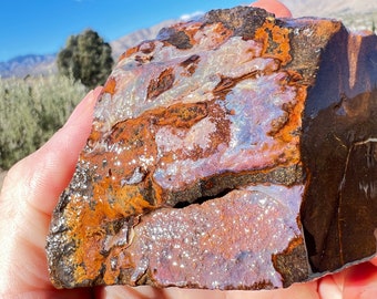 Rough Raw Queensland Boulder Opal Chunk 9oz