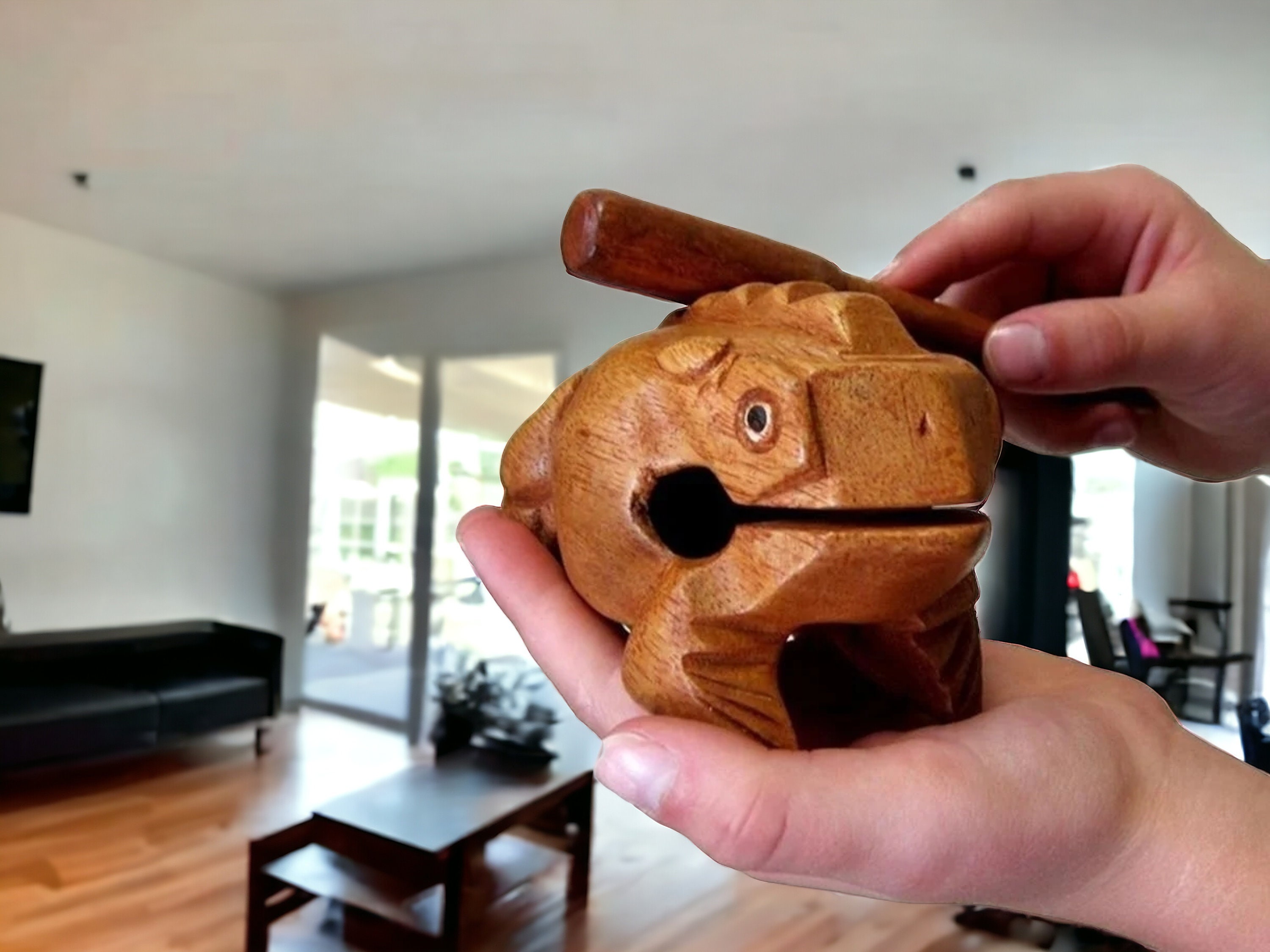 Handmade Wooden Frog Guiro With Scraper, Teak Wood Instrument, Natural
