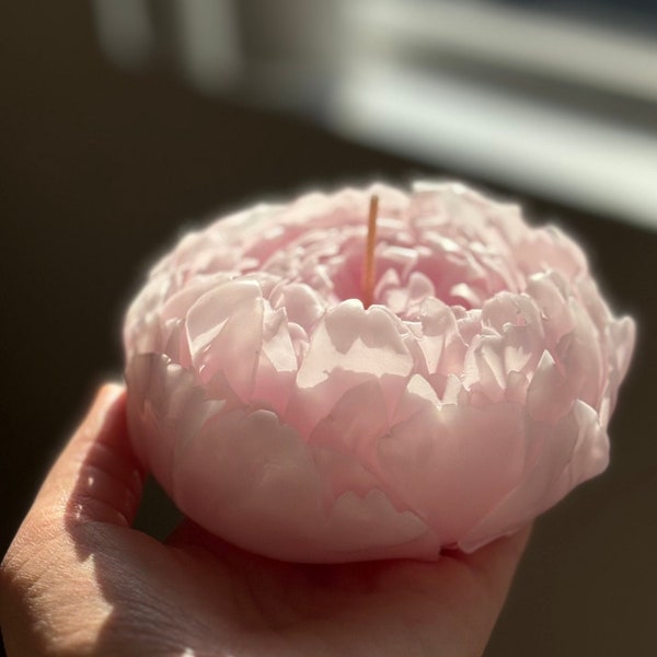 Pink peony candle