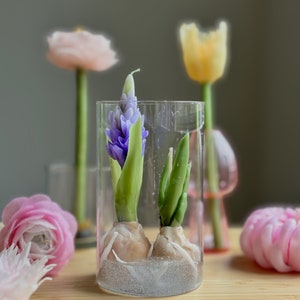 Hyacinth bulb candle, Easter candle