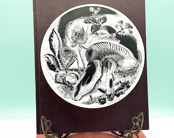 Vintage 1970s Mushroom & Fungi Book: Color Photo Mycology Reference