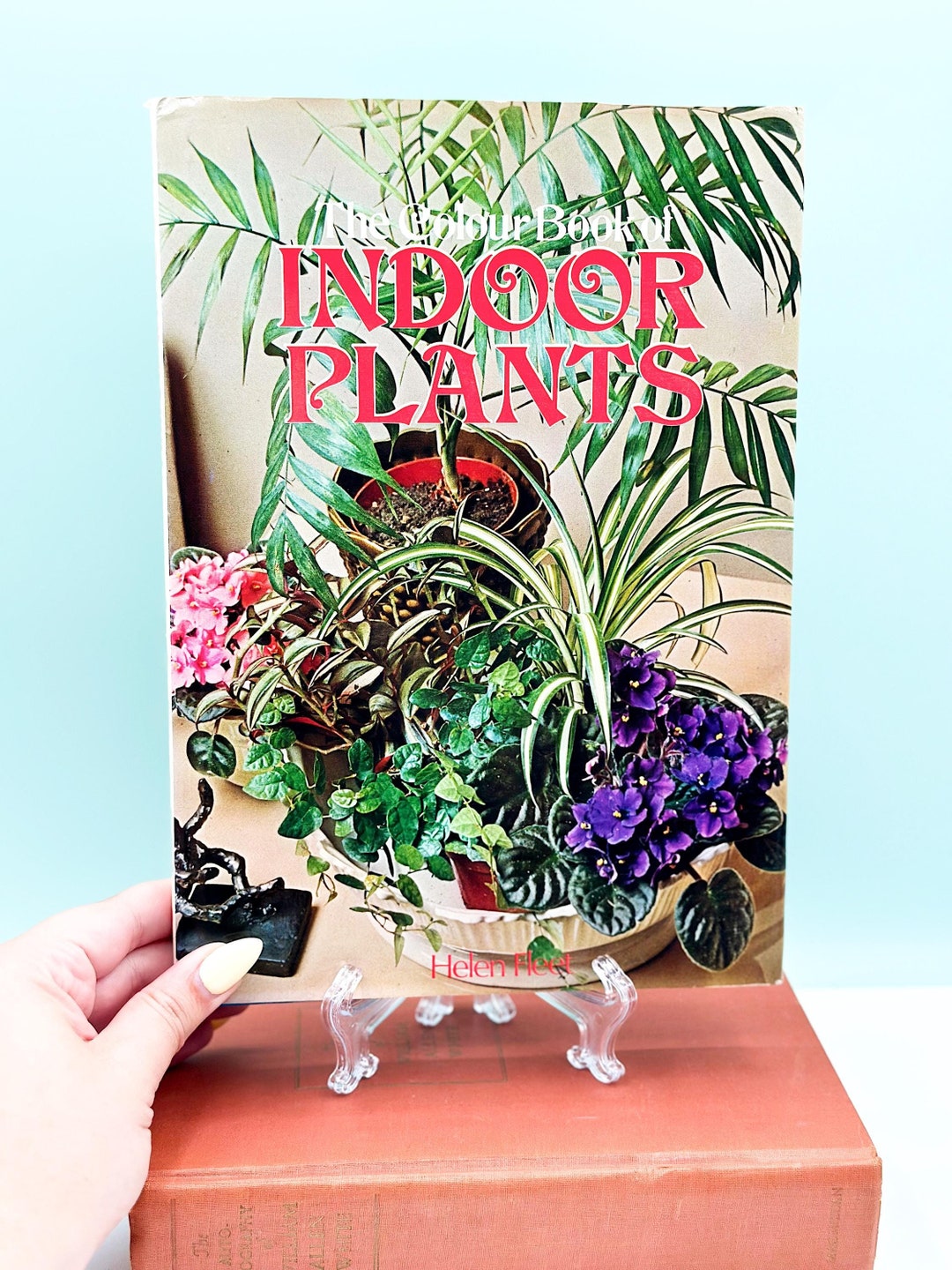 Vintage 1977 the Color Book of Indoor Plants by Helen Fleet, Hardcover Vintage Plants, Indoor ...