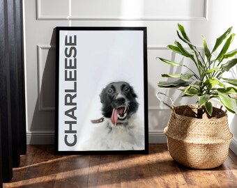 Retrato personalizado de mascota, retrato de perro dibujado a mano, retrato de gato, retrato personalizado, retrato personalizado de mascota de Salamanca