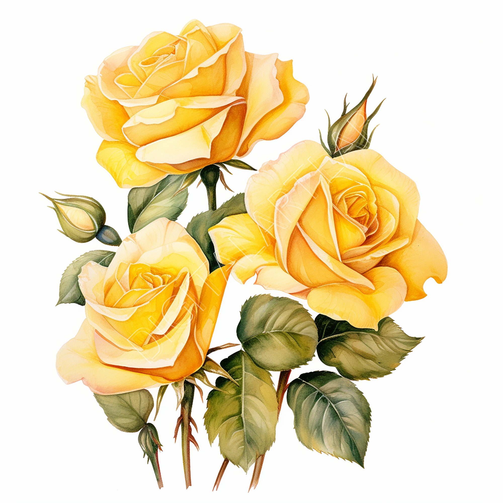 Yellow Roses To Print Yellow Roses Clipart, Printable Wall Art, Valentines Prints, Digital ...