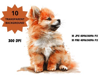 水彩画の犬の子犬ポメラニアン - Etsy 日本