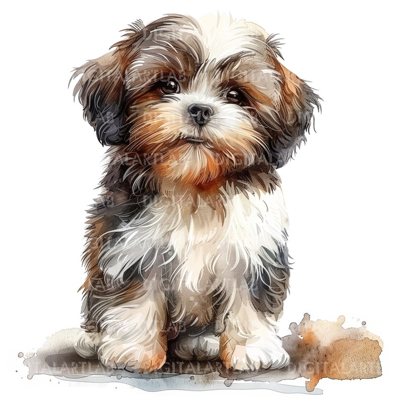 Shih Tzu Puppy Clipart, Puppies Clipart, Baby Animals Clipart ...