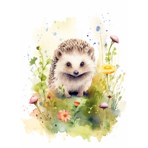 11 Hedgehog Clipart, Cute Hedgehog Clipart, Animal Prints, Digital ClipArt, Aquarelle, Nursery Art, Hedgehog Illustration Bundle.