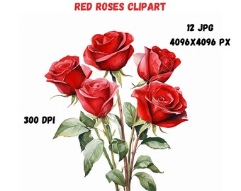 Imágenes prediseñadas de rosas rojas, arte de pared imprimible, impresiones de San Valentín, galería digital de rosas rojas, impresiones de flores, fabricación de tarjetas florales, rosas rojas románticas