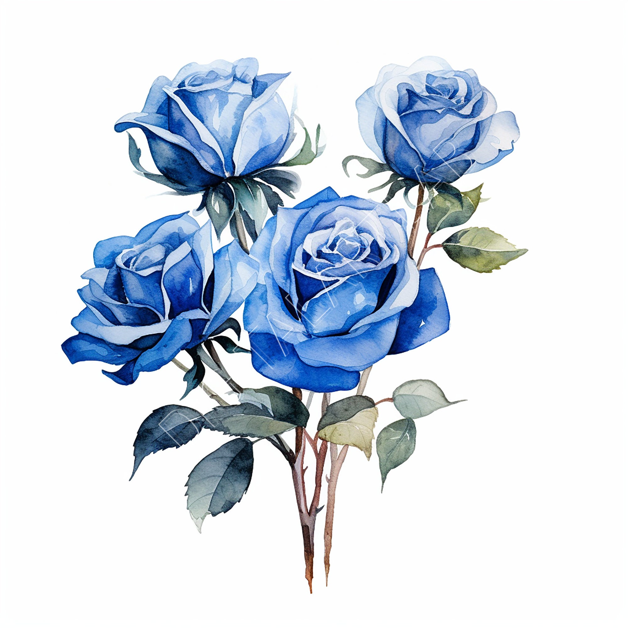 Blue Roses Clipart, Printable Wall Art, Valentines Prints, Digital Blue ...