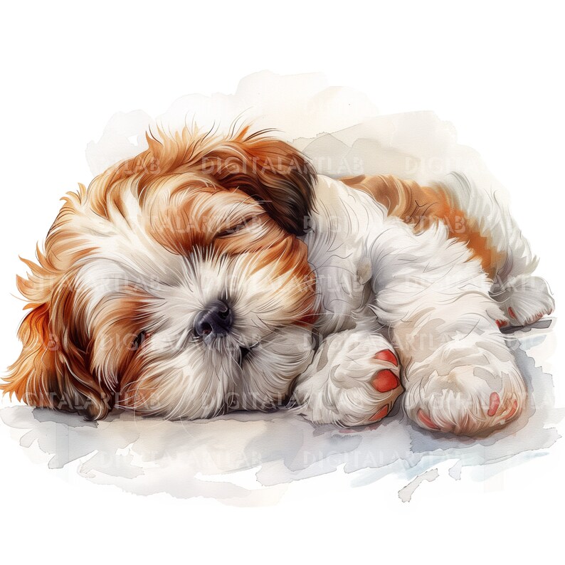 Shih Tzu Puppy Clipart, Puppies Clipart, Baby Animals Clipart ...
