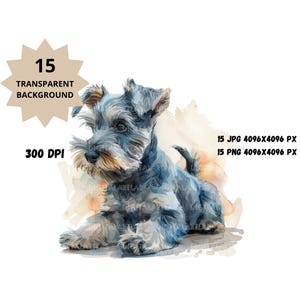 Mini Schnauzer Cachorro Clipart, Cachorros Clipart, Bebé Animales ClipArt, Perros acuarela Clipart, Cachorros Clipart, Arte infantil, Perros bebé lindos.