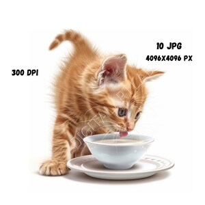 Drinking Milk Kitten, Lovely Cats, Animal Prints, Digital ClipArt, Kitten Clipart, Cat Clipart, Nursery Art, Cat Illustration Bundle.