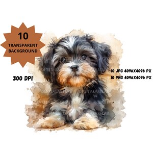 Imágenes Prediseñadas de cachorro Shih Tzu, imágenes prediseñadas de cachorros, imágenes prediseñadas de animales bebés, imágenes prediseñadas de perros de acuarela, imágenes prediseñadas de cachorros, arte infantil, perros bebés lindos.