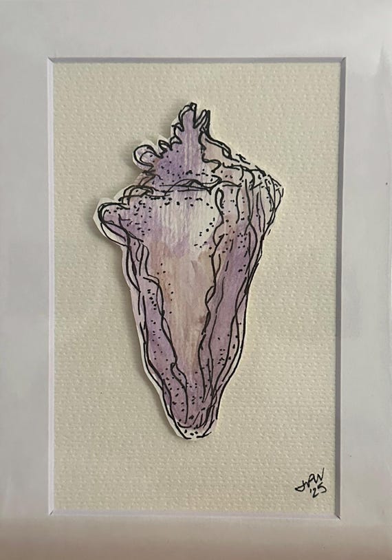 Conch Shell in Light Purple