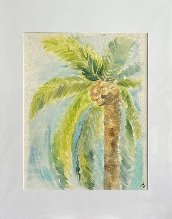 Coconut Palm Tree with Coconuts