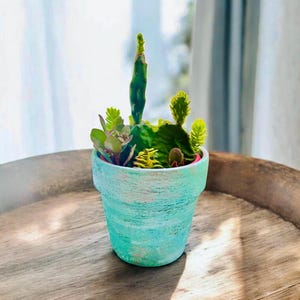 Hand-Painted Terracotta Succulent Planter: Prickly Pear Cactus & Sedums