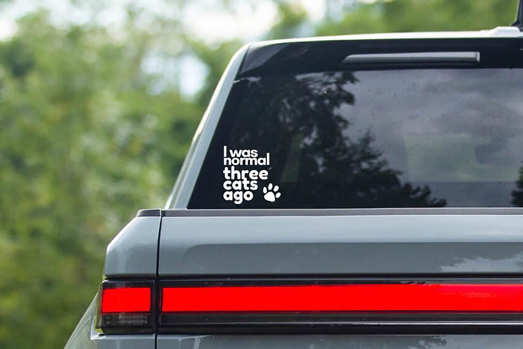 10in x 3in Crazy Cat Lady Vinyl Bumper Sticker Decal Window sticky stickers Decals
