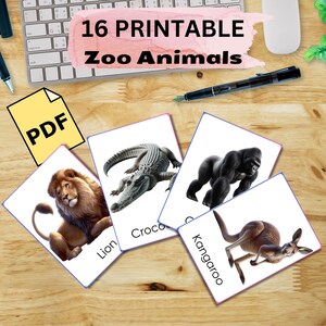 Flashcards editáveis de animais do zoológico | Cartões Flash Digitais | Cartões Flash para impressão | Cartões Flash | Downloads digitais de cartões flash imprimíveis