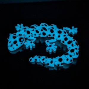 Glow Gecko Fidget Toy