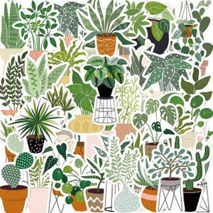 40 autocollants pour plantes en pot, lot d'autocollants assortis, sac surprise, autocollants nature botanique, floral, feuille, esthétique, nature, Kindle