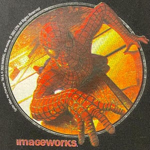 May include: Black t-shirt featuring a circular graphic of Spider-Man in a web-like costume, with red and orange tones. The image includes the text "imageworks" and copyright information from 2002.