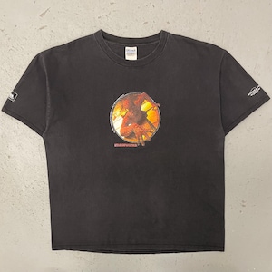May include: Dark gray t-shirt featuring a circular graphic of a superhero in a dynamic pose against a fiery background. The word "imageworks" is printed below the graphic. The shirt has short sleeves and a crew neck.