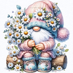 May include: A pink and blue gnome with a white beard is sitting on a log. The gnome is wearing a pink and blue knitted hat with a white pom-pom. The gnome is holding a bouquet of white daisies.
