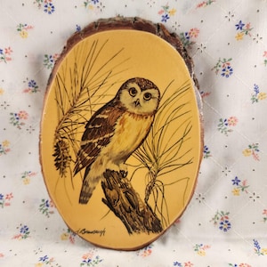 May include: A hand-painted wooden wall hanging featuring a brown and yellow owl perched on a branch. The owl is surrounded by pine needles and the background is a light yellow. The artist's signature, "A. Braunsch" is visible in the lower right corner.