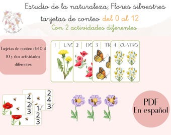 Può includere: Flashcard educative con illustrazioni ad acquerello di fiori selvatici, farfalle e api. Le carte mostrano numeri e parole spagnole per contare da 0 a 12. Il testo sulle carte recita "Estudio de la naturaleza; Flores silvestres".