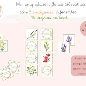Gioco di memoria sui fiori selvatici in PDF, gioco educativo stampabile, schede di memoria primavera-estate, Montessori in spagnolo