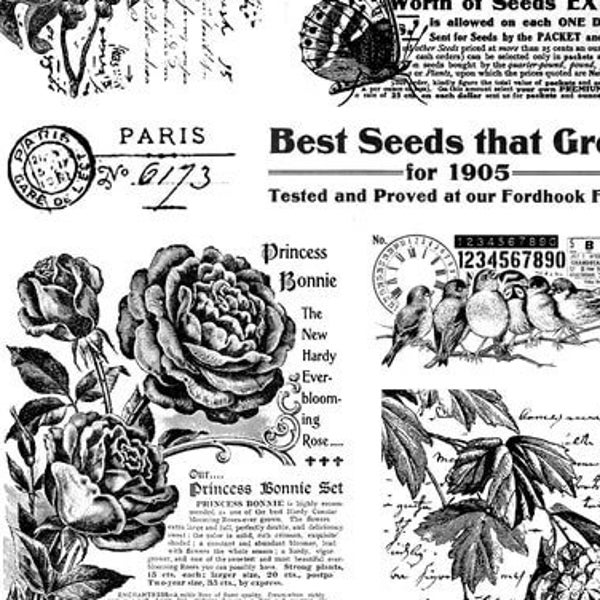 Vintage style Clear Silicone stamp for scrapbooking, junk journaling, DIY paper crafts, Garden Plant Rose botanical text Paris postmark