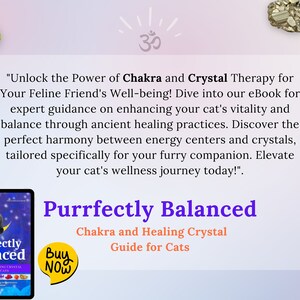 Cat's Chakra & Crystal Therapy Guide ebook PDF Purrfectly Balanced: Chakra and Healing Crystal Guide for Cats, Pet Reiki, Cat Meditation image 4
