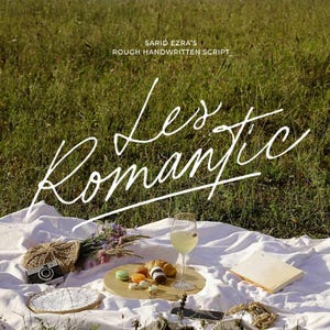 Puede incluir: Una escena de picnic sobre una manta blanca en un campo cubierto de hierba. Las palabras "Les Romantic" están escritas en cursiva. Una bandeja de madera contiene pasteles, macarons y una copa de vino. También hay una cámara vintage, un libro y flores.