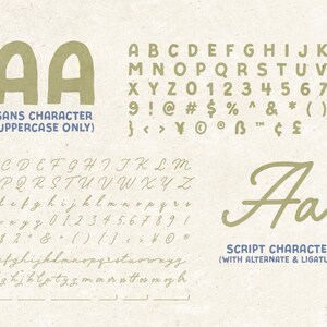 Peut inclure: Graphique beige pr&eacute;sentant deux styles de police. La section sup&eacute;rieure affiche une police sans-serif avec des majuscules et des chiffres. La section inf&eacute;rieure montre une police script avec des caract&egrave;res alternatifs et des ligatures. Le texte comprend "SANS CHARACTER (UPPERCASE ONLY)" et "SCRIPT CHARACTER (WITH ALTERNATE & LIGATURE)".