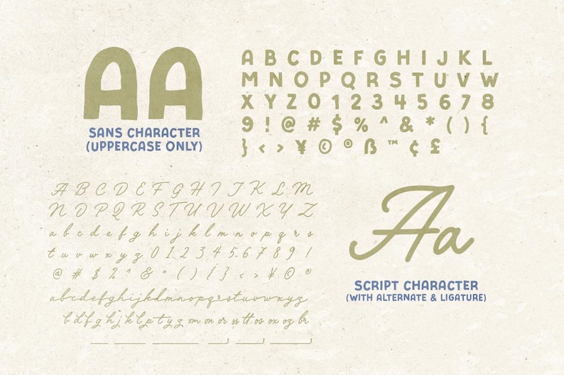Peut inclure: Graphique beige pr&eacute;sentant deux styles de police. La section sup&eacute;rieure affiche une police sans-serif avec des majuscules et des chiffres. La section inf&eacute;rieure montre une police script avec des caract&egrave;res alternatifs et des ligatures. Le texte comprend "SANS CHARACTER (UPPERCASE ONLY)" et "SCRIPT CHARACTER (WITH ALTERNATE & LIGATURE)".
