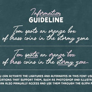 Peut inclure: Fond bleu sarcelle avec texte blanc en cursive : &laquo; Information GUIDELINE &raquo; et &laquo; Tom spots an orange box of brass coins in the stormy zone &raquo;. Le texte suppl&eacute;mentaire explique comment activer les ligatures et les alternatives dans la police.