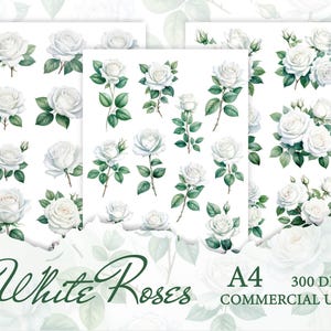 Découpes de roses blanches imprimables, feuilles de collage, images imprimables et de scrapbooking, téléchargement numérique