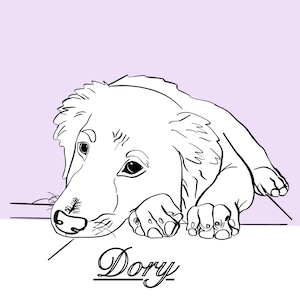 Drawing, animal drawing, animal portrait, line drawing, minimalist drawing, art, digital drawing
