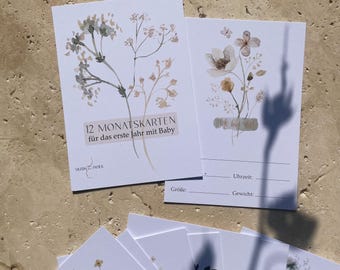 May include: Twelve month cards with a floral design and the text "12 MONATSKARTEN für das erste Jahr mit Baby" and "MUSING PAPER".