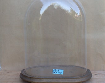 Antique dôme globe mariée ovale en verre cloche époque victorienne base 35,5 x 26 x15 unique collection historique cadeau de mariage vitrine